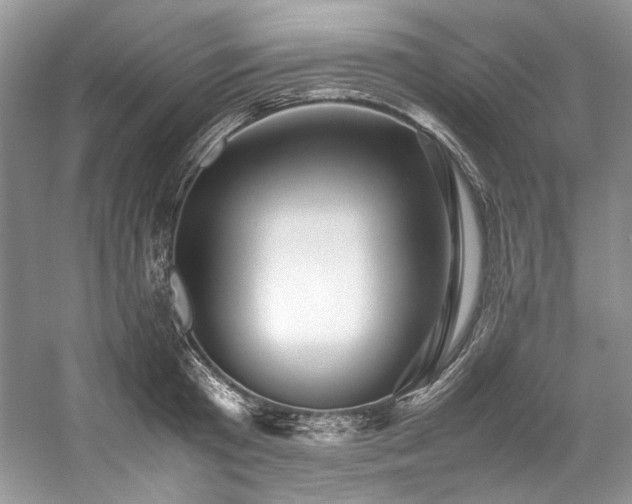 X0000059070801200510071107