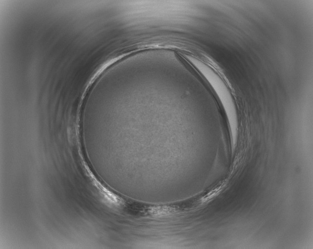 X0000059070803200510071107