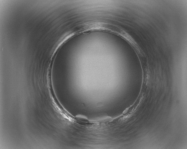 X0000059070806200510071107