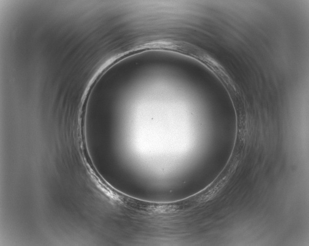 X0000059070808200510071107