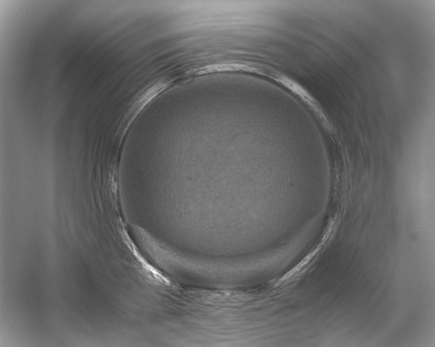 X0000059070809200510071107