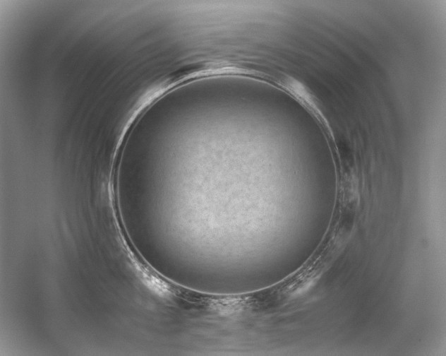 X0000059070813200510071107