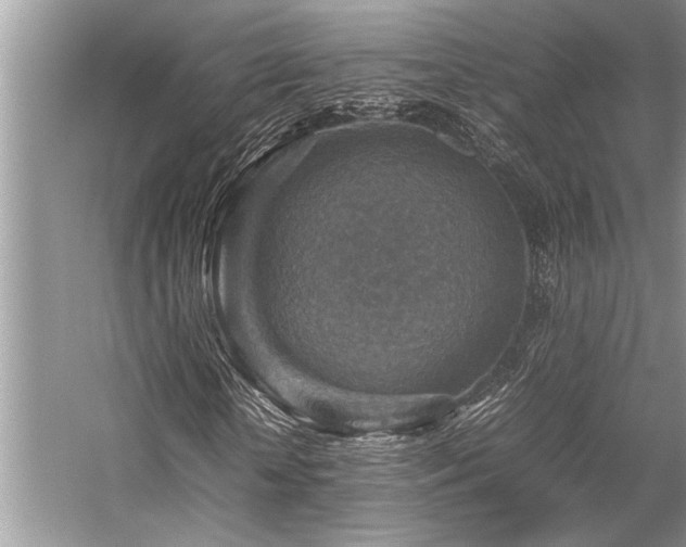 X0000059070818200510071106