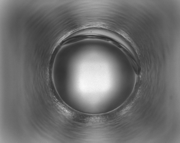 X0000059070834200510071106