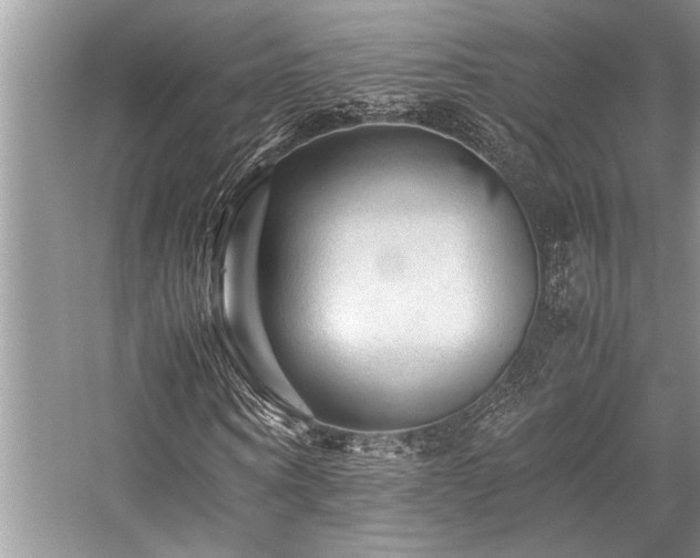 X0000059070866200510071106