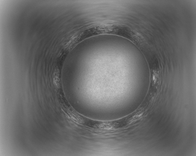X0000059070867200510071106