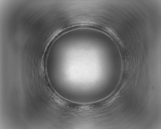 X0000059070883200510071106