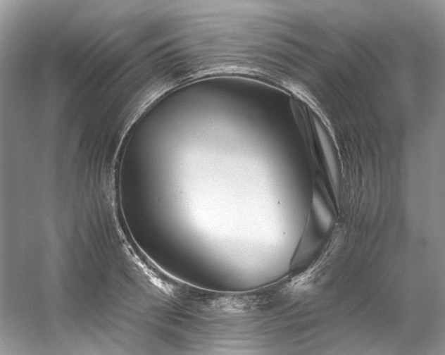 X0000059070898200510071105