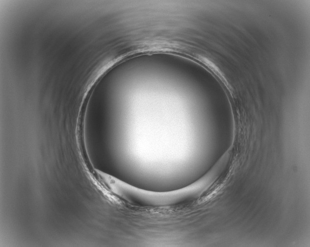 X0000059070901200510071105