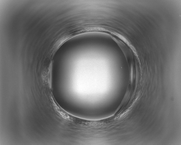X0000059070905200510071105