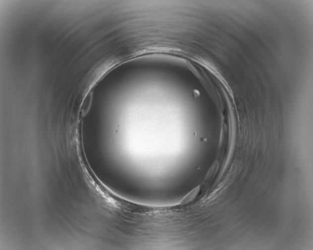 X0000059070906200510071105