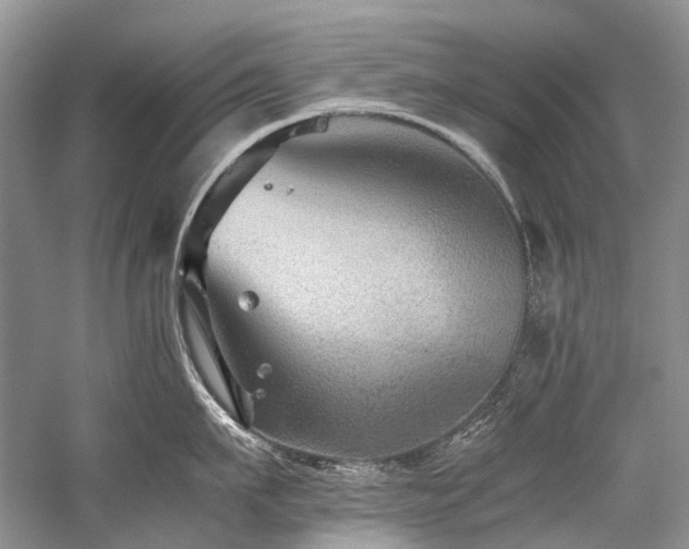 X0000059070911200510071105