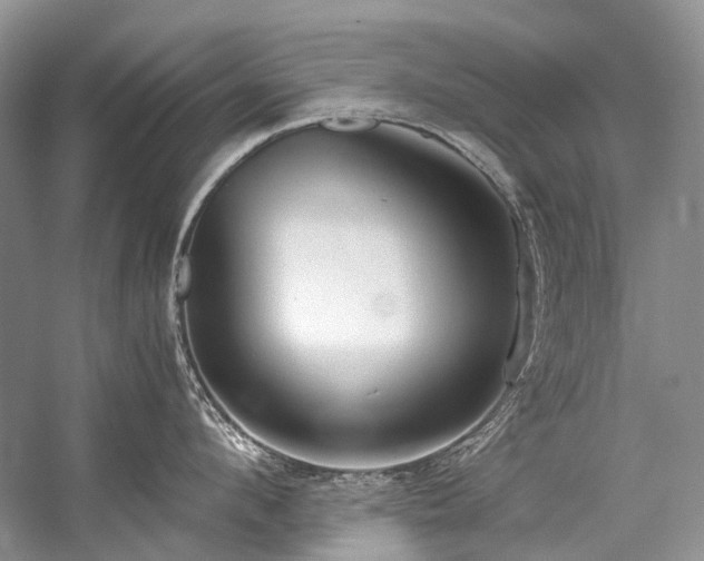 X0000059070912200510071105