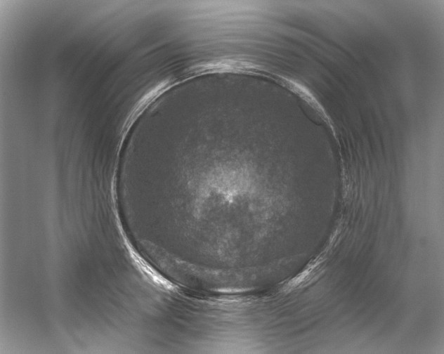 X0000059070946200510071105