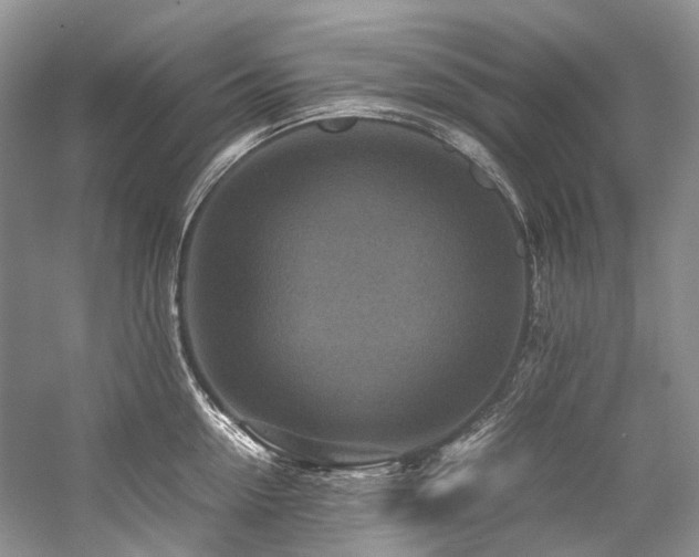 X0000059070954200510071105