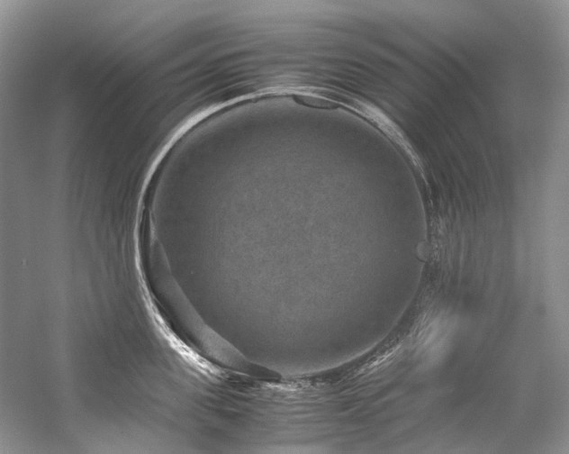 X0000059070955200510071105