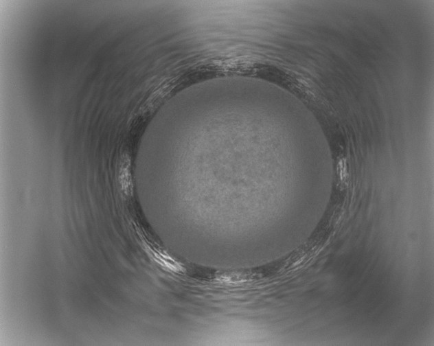 X0000059070963200510071104