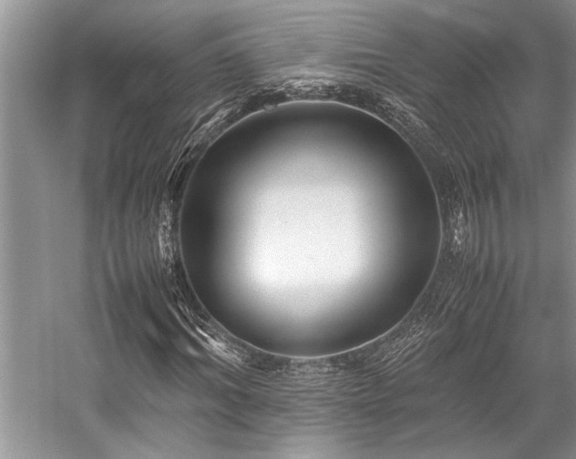 X0000059070964200510071104