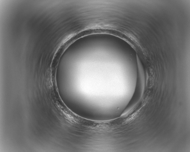 X0000059070974200510071104