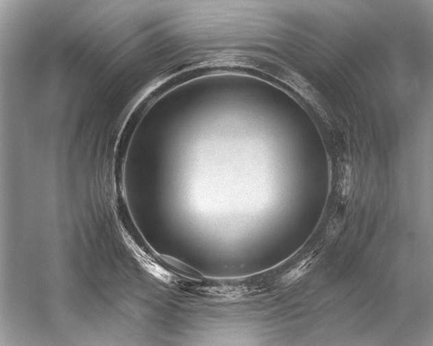 X0000059070980200510071104