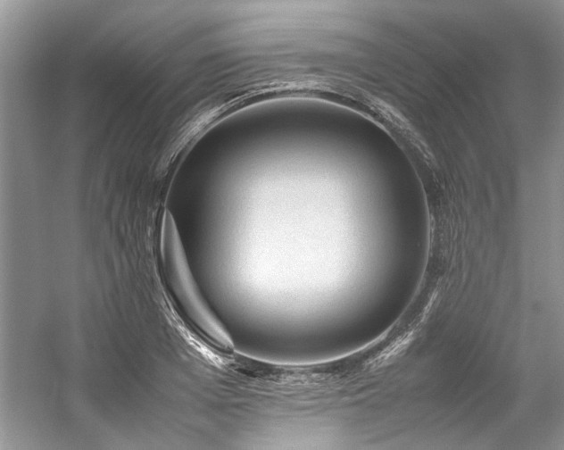 X0000059070985200510071104