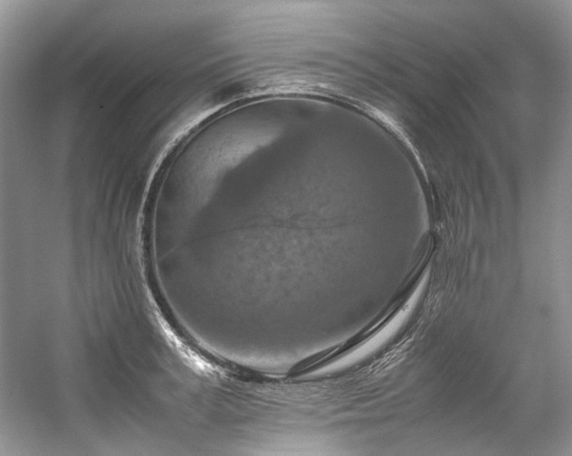 X0000059070995200510071104
