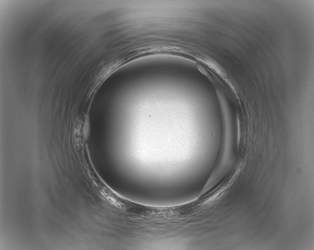 X0000059071001200510071104