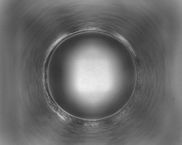 X0000059071051200510071103