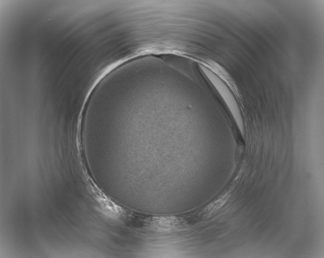 X0000059071052200510071103