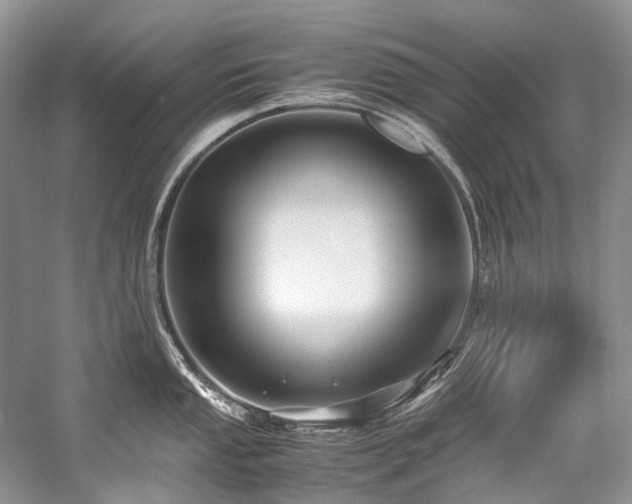 X0000059071053200510071103