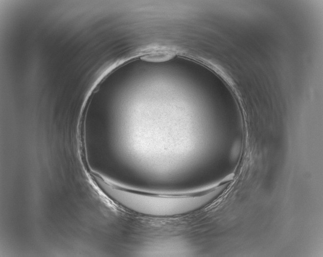 X0000059071056200510071104