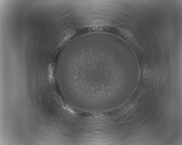 X0000059071060200510071103