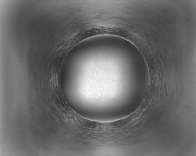 X0000059071061200510071103