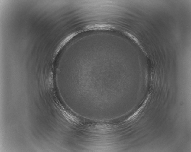 X0000059071066200510071103