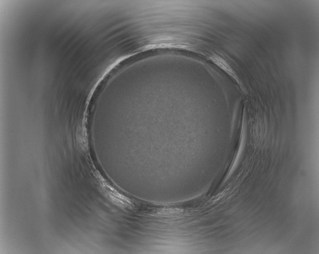 X0000059071068200510071103