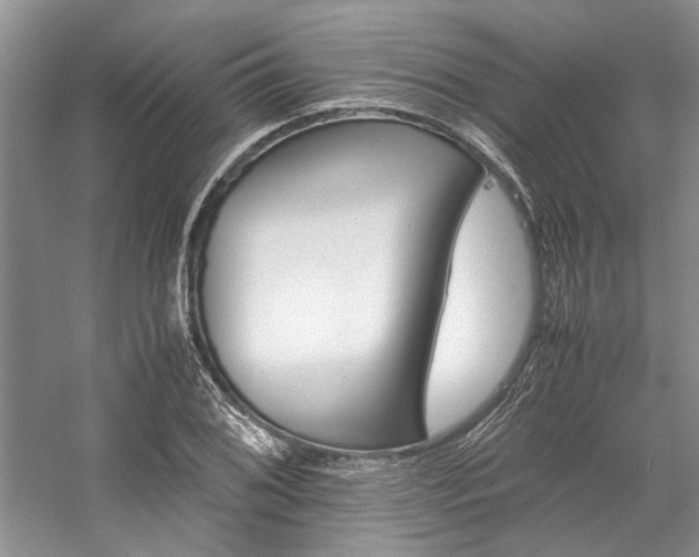 X0000059071076200510071102