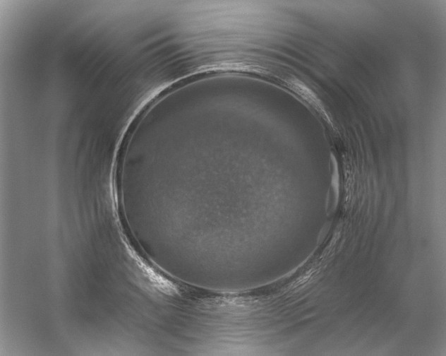 X0000059071084200510071102