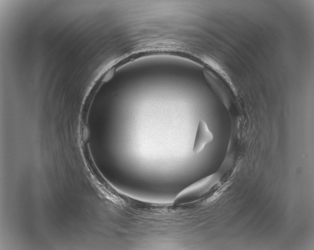 X0000059071085200510071102