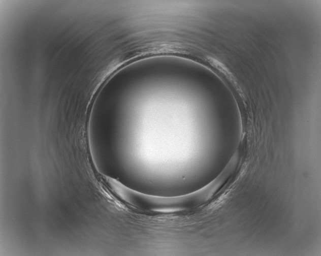 X0000059071089200510071102