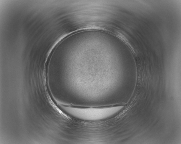 X0000059071092200510071102