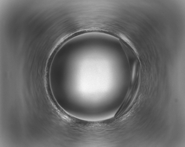 X0000059071093200510071102