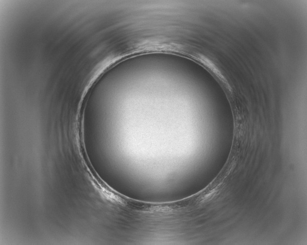 X0000059071094200510071102