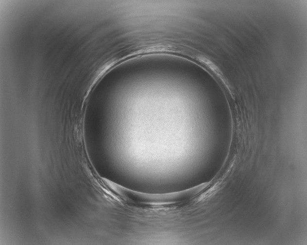 X0000059071097200510071102
