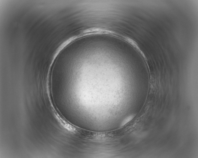 X0000059071098200510071102