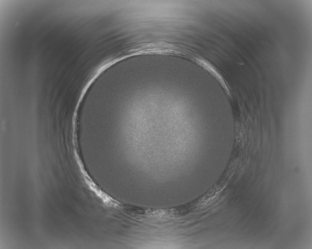 X0000059071099200510071102