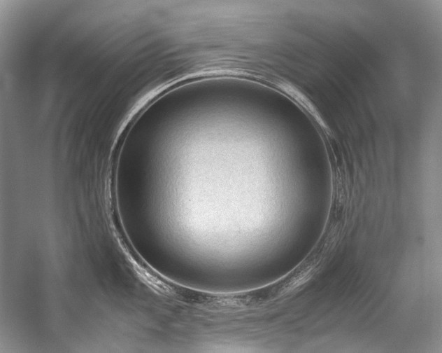 X0000059071101200510071102