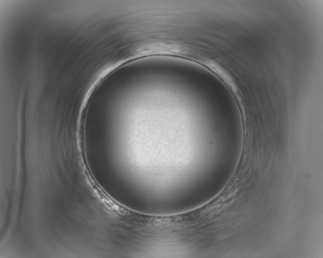 X0000059071104200510071102