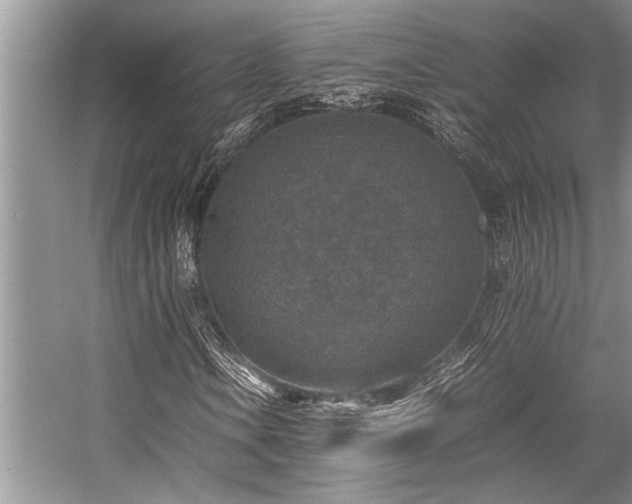 X0000059071106200510071101
