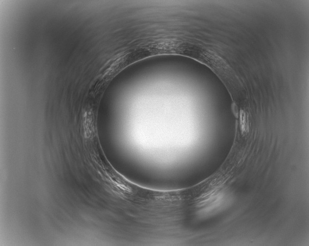 X0000059071107200510071101