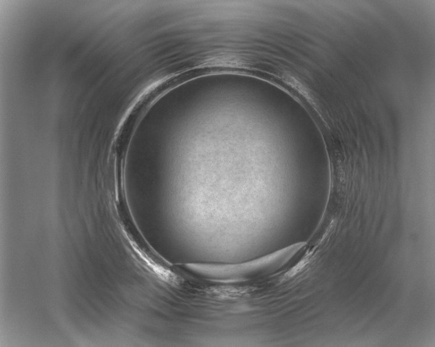 X0000059071123200510071101
